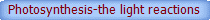 Online Audio Bible