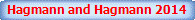 Download Media Player